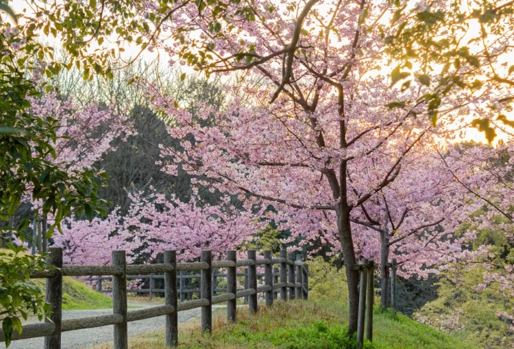 三好公園